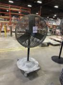 PEDESTAL FAN ON CASTERS