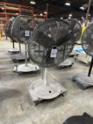 PEDESTAL FAN ON CASTERS