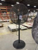 PEDESTAL FAN ON CASTERS