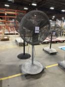 PEDESTAL FAN ON CASTERS