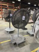 PEDESTAL FAN ON CASTERS