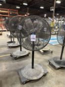 PEDESTAL FAN ON CASTERS