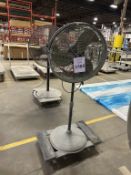 PEDESTAL FAN ON CASTERS