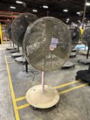 PEDESTAL FAN ON CASTERS