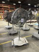 PEDESTAL FAN ON CASTERS