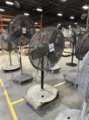 PEDESTAL FAN ON CASTERS