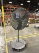 PEDESTAL FAN ON CASTERS