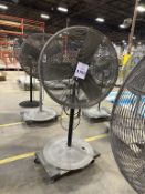 PEDESTAL FAN ON CASTERS