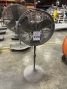 PEDESTAL FAN ON CASTERS