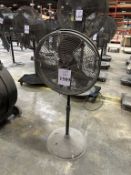 PEDESTAL FAN ON CASTERS