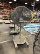 PEDESTAL FAN ON CASTERS