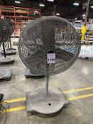 PEDESTAL FAN ON CASTERS