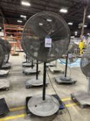 PEDESTAL FAN ON CASTERS