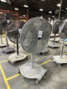 PEDESTAL FAN ON CASTERS