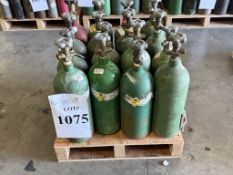 OXYGEN COMPRESSED GAS CYLINDERS 12
