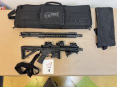 PALMETTO STATE ARMORY AR-15 ASSAULT RIFLE