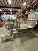CFE DP35WP Stainless Steel Volumetric Screw Feeder/Auger/Mixer