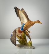 A PAIR OF DUCKS