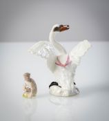 Miniatur-Äffchen und Schwan