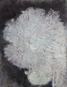 Sieber, Friedrich