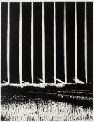 Convolute: 17 graphic works