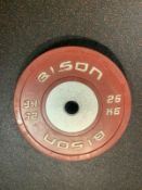 Pair Of Bison 25KG Plates