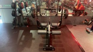 Technogym Olympic Decline Bench