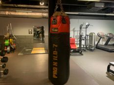 Carbon Claw Pro X ILD-7 Punching Bag