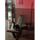 Technogym Olympic Incline Bench Pure