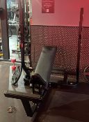 Technogym Olympic Incline Bench Pure