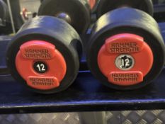 Pair Of 12kg Hammer Strength Dumbbells