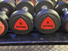 ZIVA 6kg Dumbbell