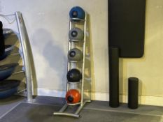 Reebok Medicine Ball Stand And Five Medicine Balls