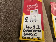 Carpet Remnant Band C Colour 2 Beige 2.2m x 4m - No Reserve