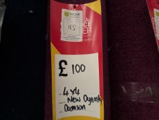 Carpet Remnant New Dynasty Damson 4m x 4m - No Reserve