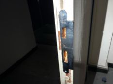 White And Blue Tall Fire Door