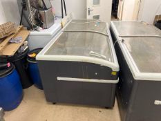 Interlevin Display Freezer