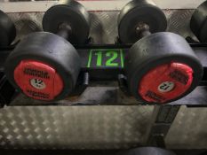 Pair Of 12kg Hammer Strength Dumbbells