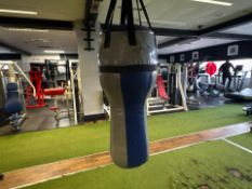 Pro Tec Punch Bag