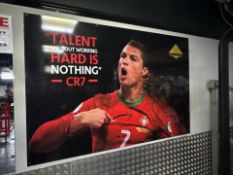 Cristiano Ronaldo Picture