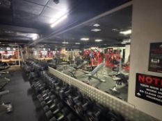 Gym Wall Mirror x6
