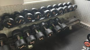 2 Tier 20 Spot Dumbbell Rack