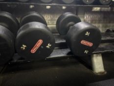 Star Trac 34kg Dumbbell Pair