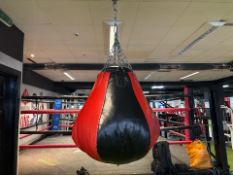 MAR Punch Bag