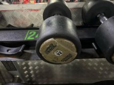 24kg Hammer Strength Dumbbell