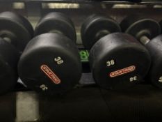 Star Trac 38kg Dumbbell Pair