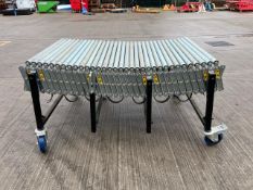 Expandable Roller Conveyor