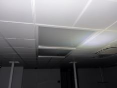 Ceiling Lights x2