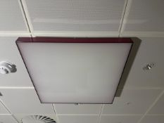 5 x Ceiling Lights