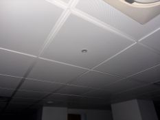 Ceiling Tiles x250